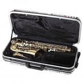 Alto Sax Case